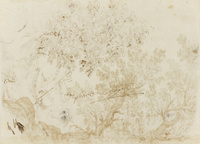 K V 118
<br/>
Bomen en schapen met in de verte een stad
<br/>
<em>Allegrini, Francesco (1624-1684)</em>